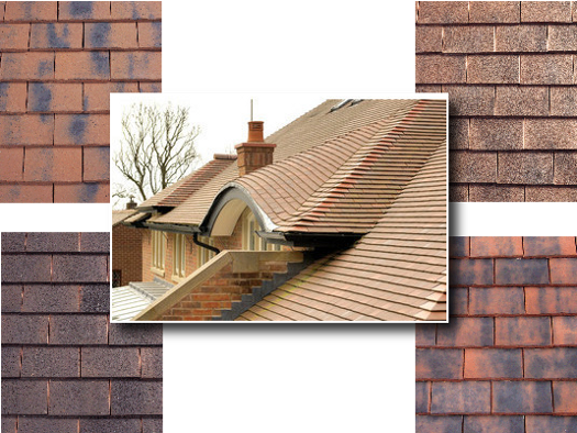 Roof tiles.